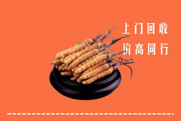 迎泽区回收散虫草