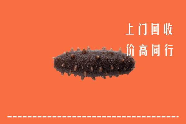 收购行情：迎泽区回收海参