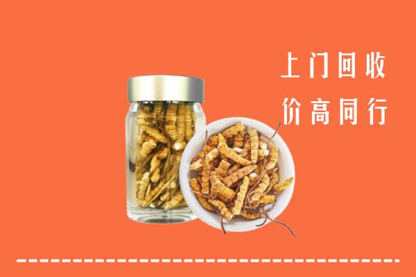 迎泽区回收冬虫夏草