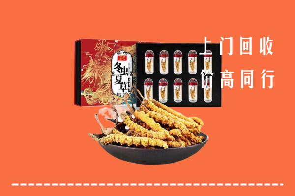 迎泽区回收虫草